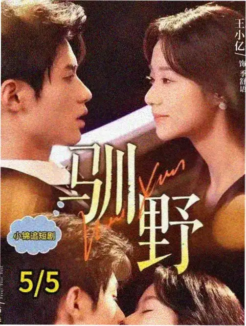 铁轨尽头 电视剧 2024 剧情